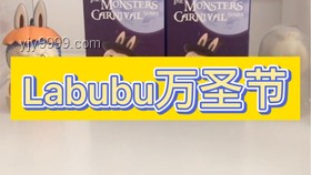 两个拍出天价的Labubu对比分析：独特性与市场价值